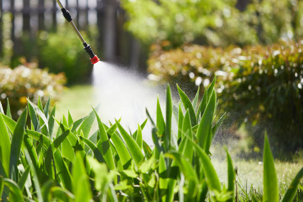 24/7 Emergency Pest Control experts in Coldstream, KY